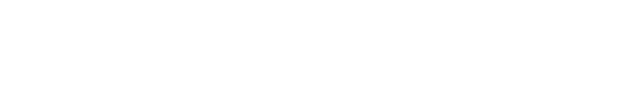 Setupros Logo